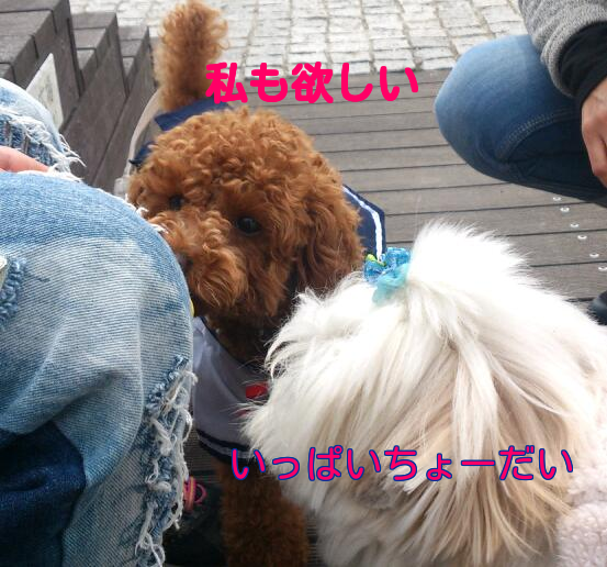 b0237894_1064775.png