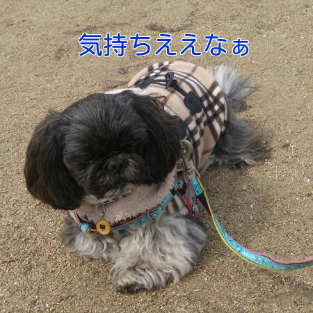 b0237894_1074229.png