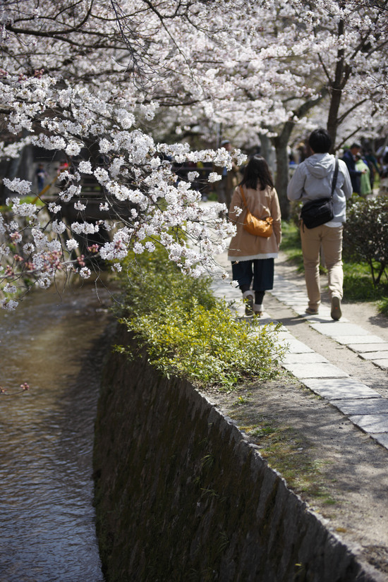 桜と人々２ [SAKURA & People2]_b0064396_19292899.jpg