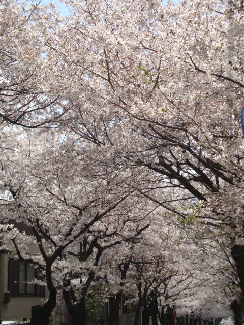 f0276708_22241644.jpg