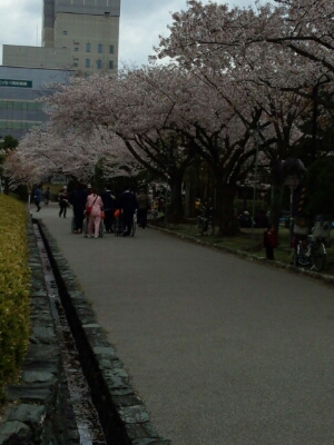 a0160509_12171553.jpg
