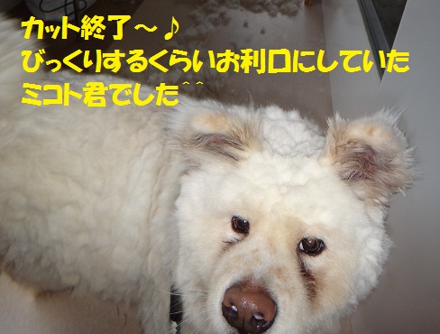 f0121712_1591444.jpg