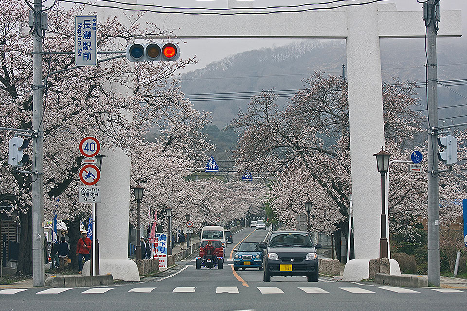 b0010915_2221850.jpg