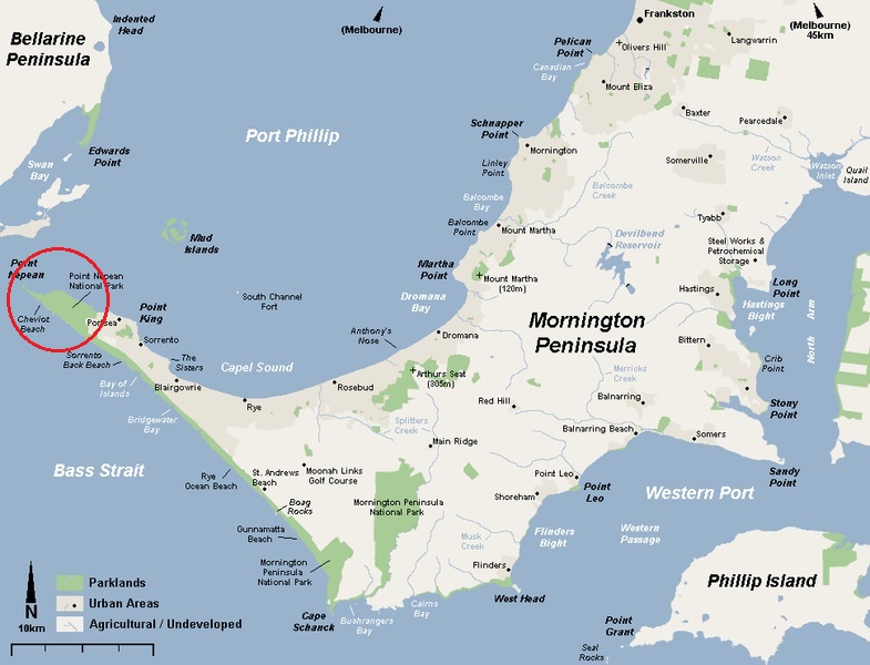 メルボルン美味しい生活