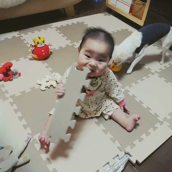 d0162423_13565890.jpg