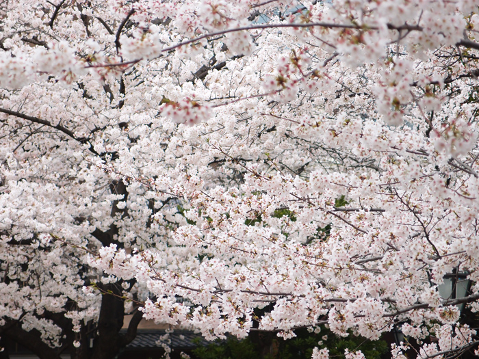 b0244424_22250100.jpg