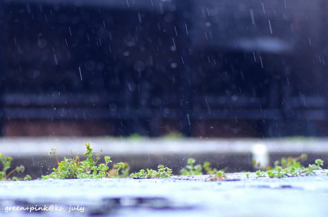 # 0402/　三原色の雨._b0181125_0362242.jpg