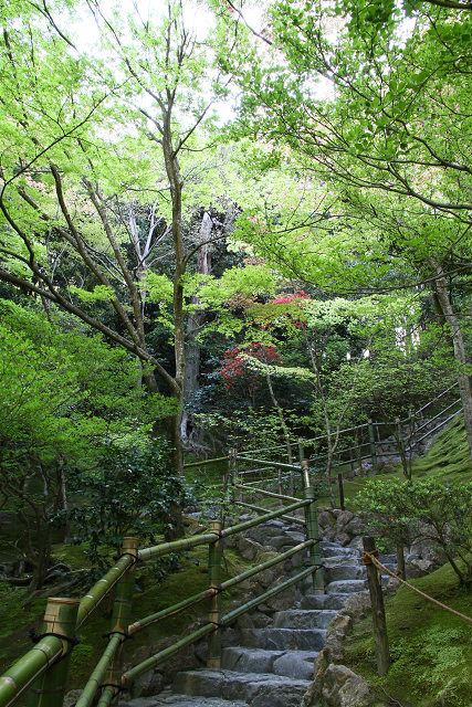 新緑の哲学の道巡り －銀閣寺（後編）－_b0169330_2320381.jpg