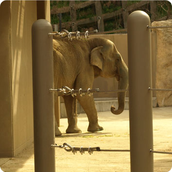 動物園って10年以上ぶりだなぁ_a0280532_12151421.jpg