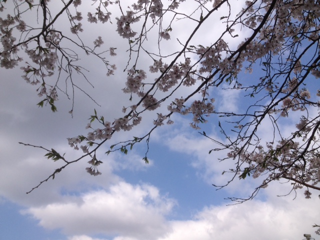 e0308937_1333509.jpg