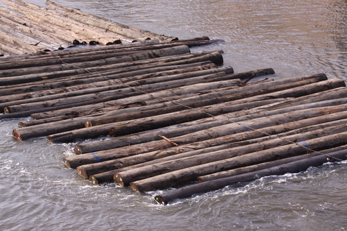 橋の上から～材木運搬船　４月３日_f0113639_17411196.jpg