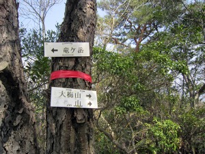 e0110940_10008.jpg