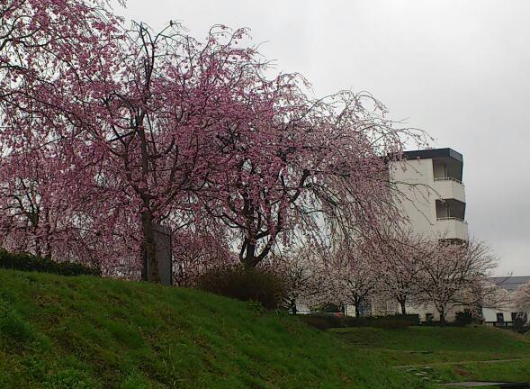 e0291042_10212853.jpg