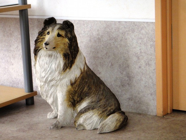 楽しい楽しい病院わん♪_e0195743_13165842.jpg