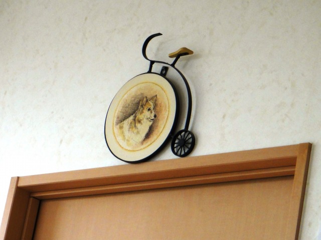 楽しい楽しい病院わん♪_e0195743_13171527.jpg
