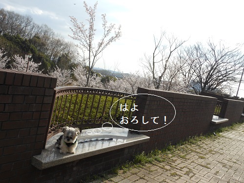 c0261346_19261160.jpg