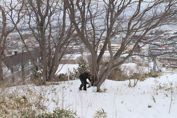 雪の町通信 ~メイプルシロップの作りかた~_d0179447_22163884.jpg