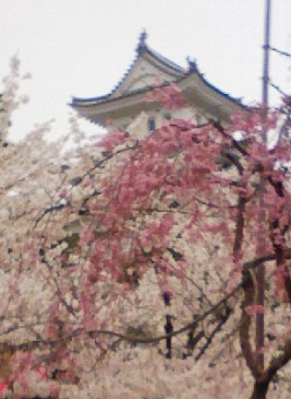 八ッ場ダム東京高裁判決と「撤退」と厚労省「新水道ビジョン」_f0197754_19142226.jpg