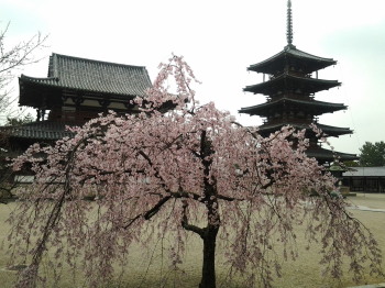 奈良ワークショップ&プチ旅行_a0061057_11451761.jpg