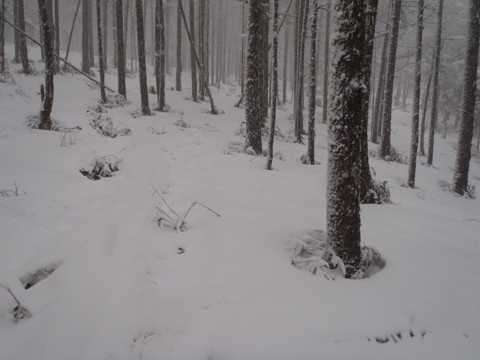 f0202271_23301478.jpg