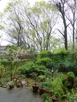 c0040472_14591785.jpg