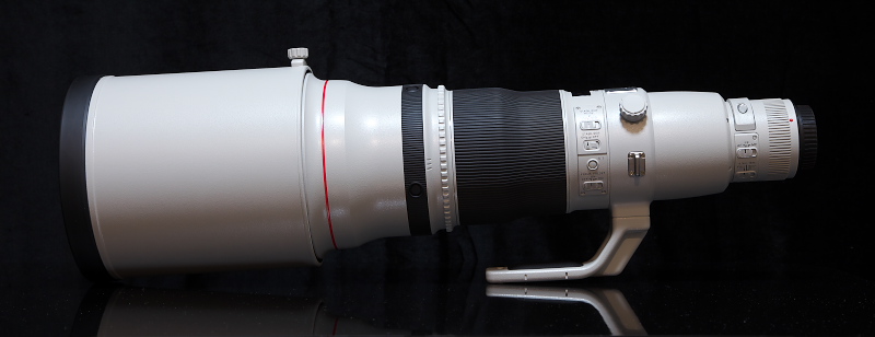 EF600mm F4L IS II USMを購入しました! : My Photo Life EF600mm F4L IS II USMを購入しました! : My Photo Life