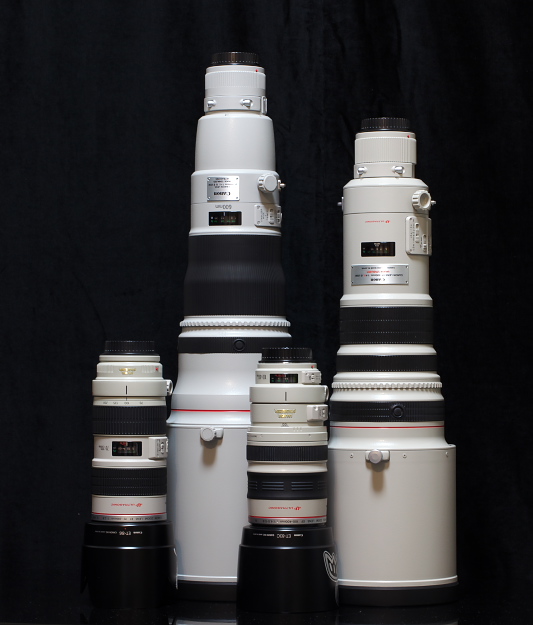 EF600mm F4L IS II USMを購入しました! : My Photo Life EF600mm F4L IS II USMを購入しました! : My Photo Life
