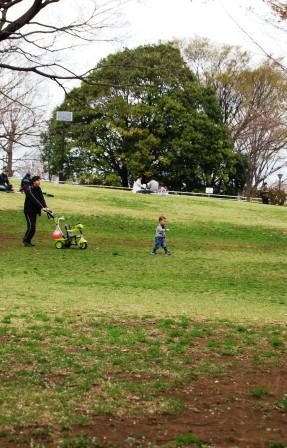 近所の公園へお花見ピクニック♪_a0126789_152751.jpg