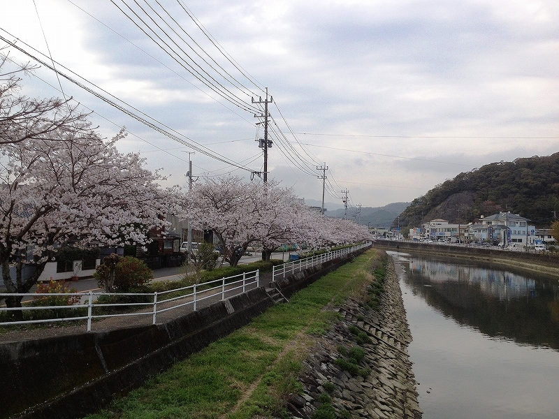 b0135889_14542939.jpg