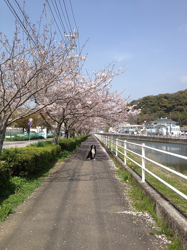 b0135889_2159886.jpg