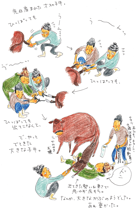 大きなかぶ_f0236291_1120388.gif
