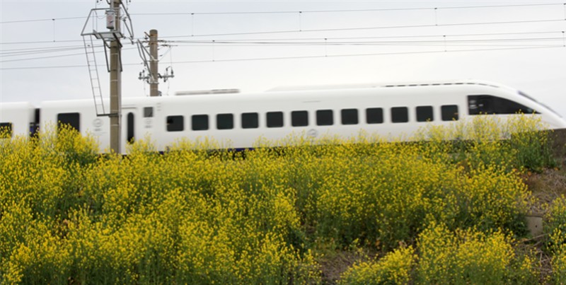 a0076594_1656748.jpg