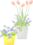 c0074000_2239656.gif