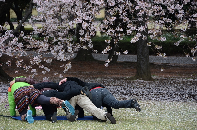 桜吹雪の新宿御苑_a0169902_2310060.jpg