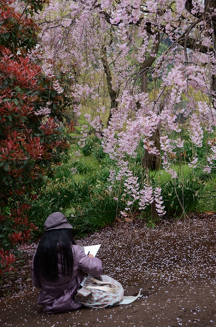 桜吹雪の新宿御苑_a0169902_23101627.jpg