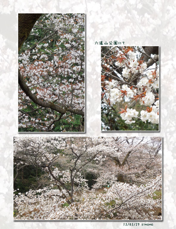 今年のお花見_c0051105_22335095.jpg