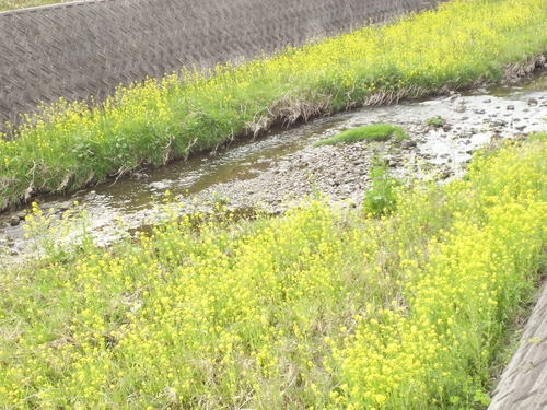 d0238608_2385420.jpg