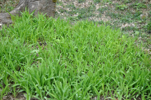 f0188408_120136.jpg