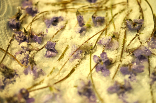 f0188408_122458.jpg