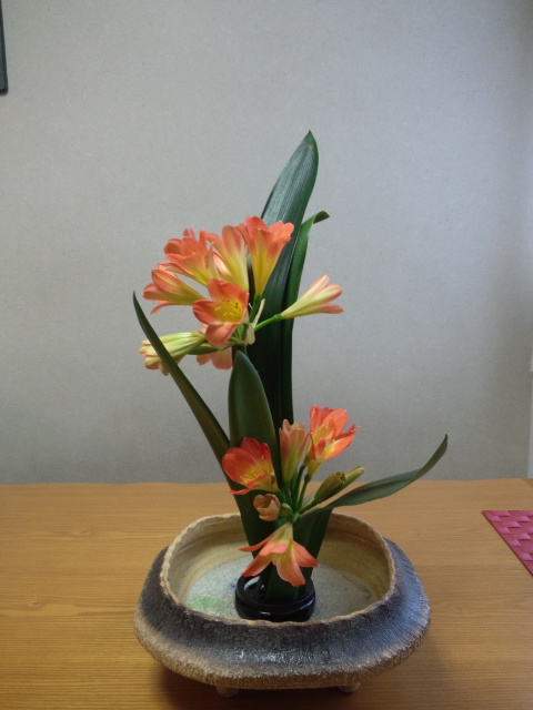 君子蘭のお生花 \'13_f0226713_17152846.jpg