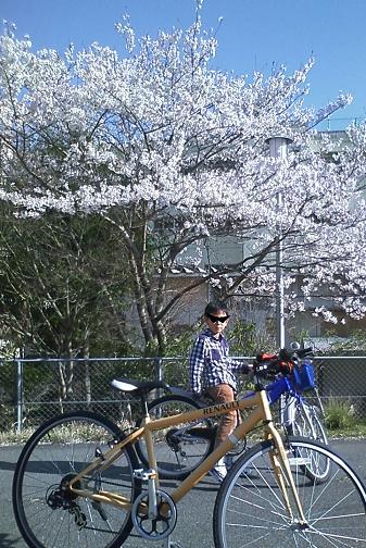 今度は自転車？_d0143615_2224384.jpg