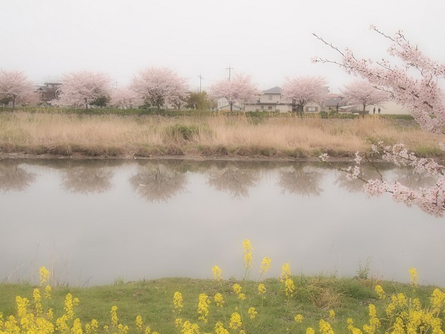 d0295818_05239.jpg