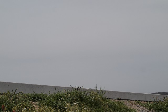 d0295818_06988.jpg