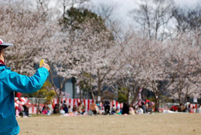 f0248120_20121237.jpg