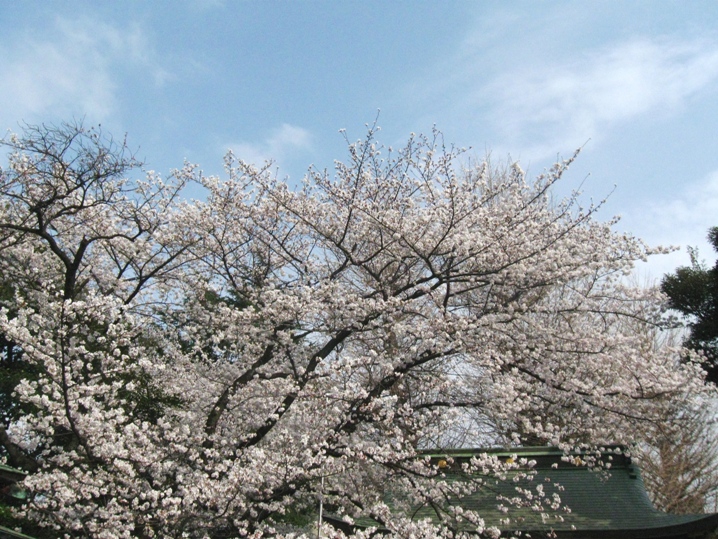 d0044222_17531164.jpg