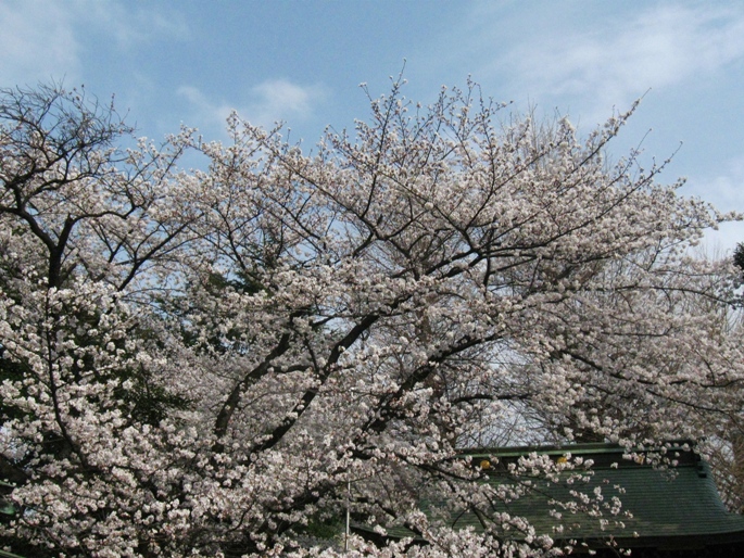 d0044222_17542430.jpg