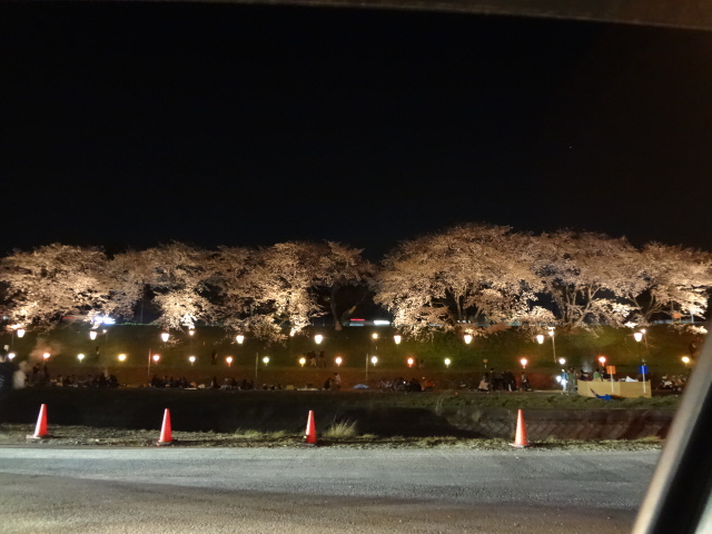 後楽園で夜桜を楽しむ_d0030026_22592924.jpg