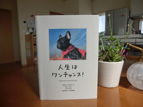 人生はワンチャンス Palm Size Happiness