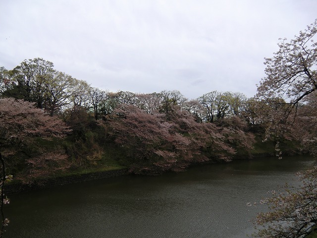 a0006033_1515696.jpg