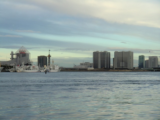 a0006033_1541121.jpg